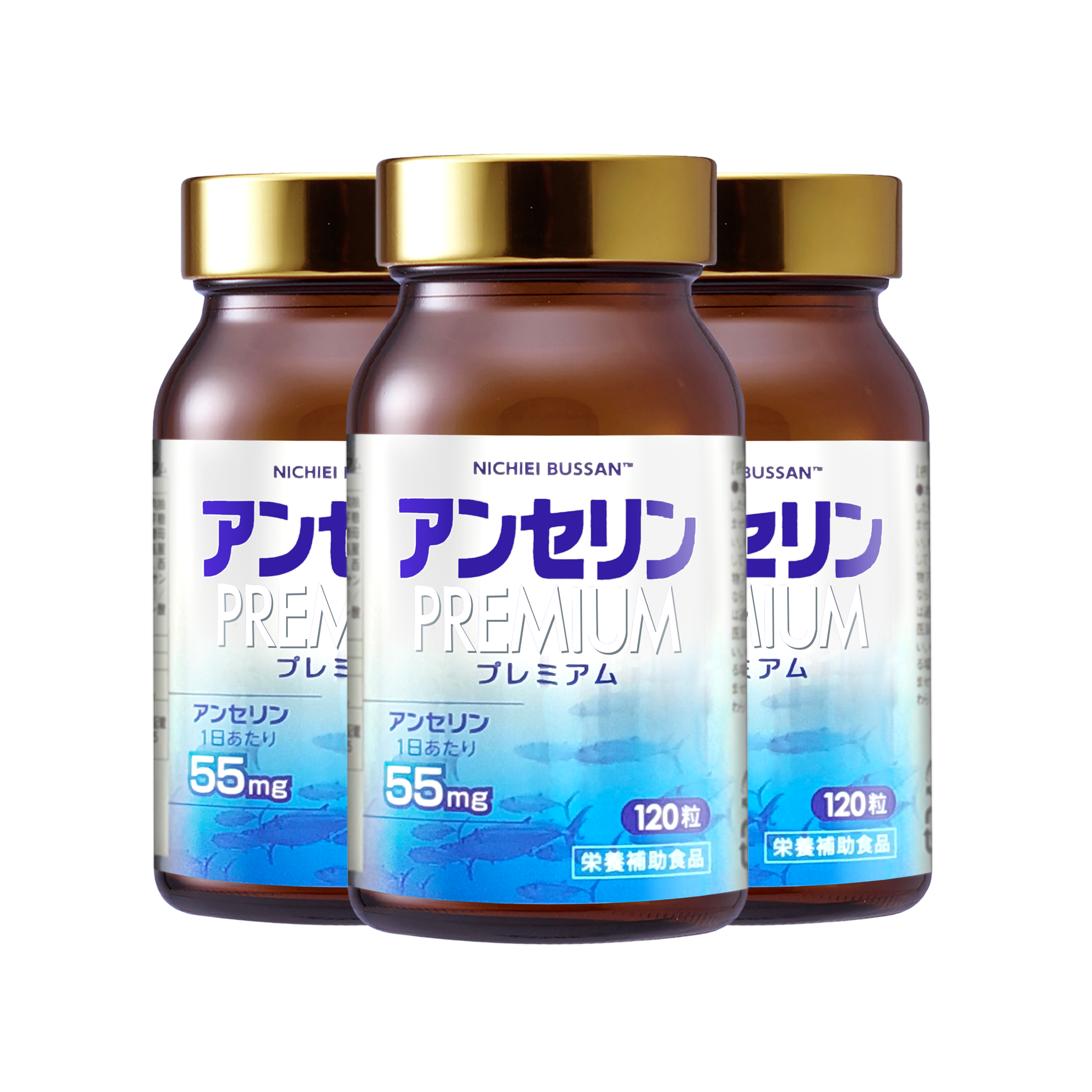 Nichiei Asia Products53