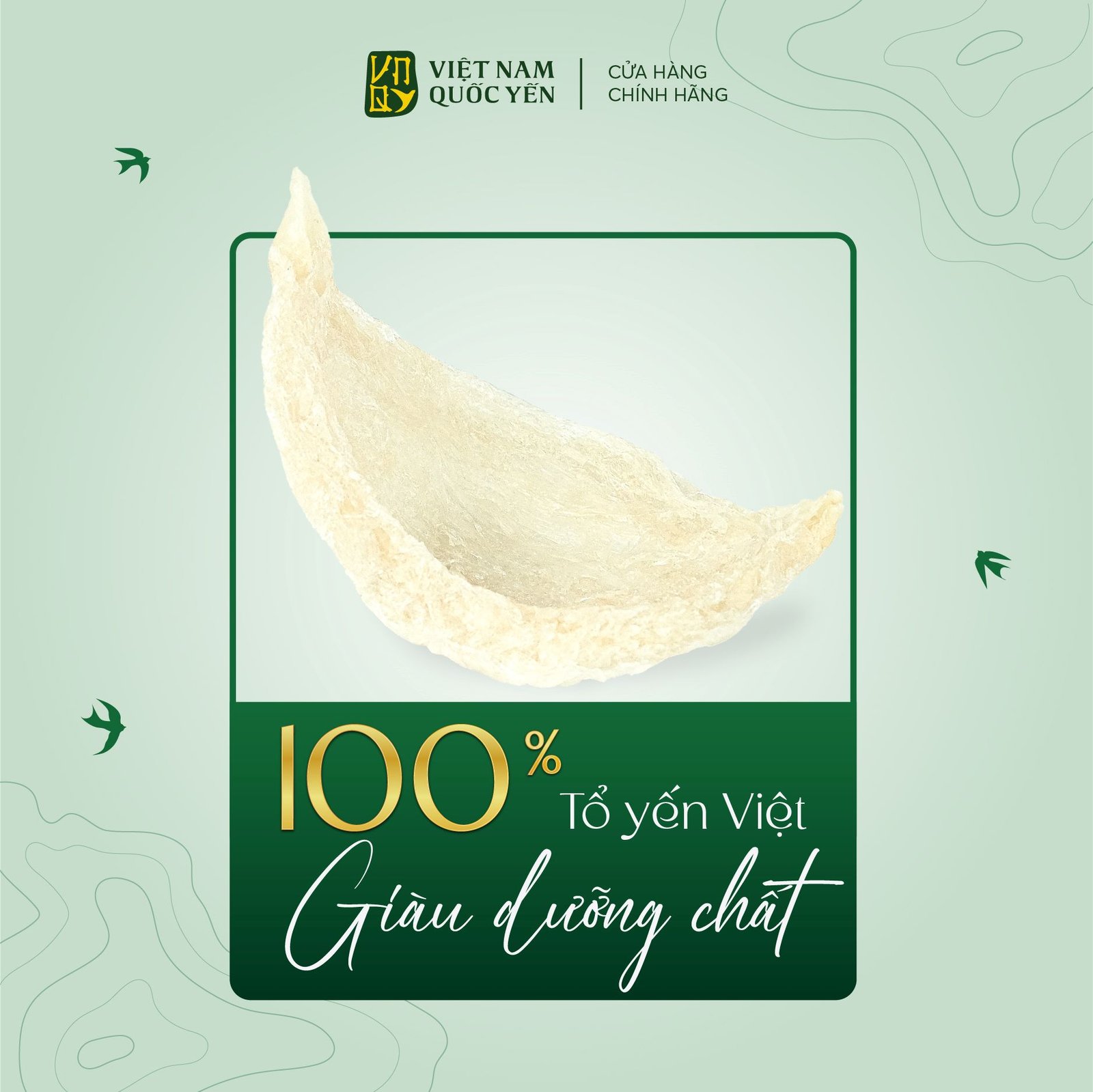 Tổ yến định hình thượng hạng 50g - Việt Nam Quốc Yến - Ảnh 2