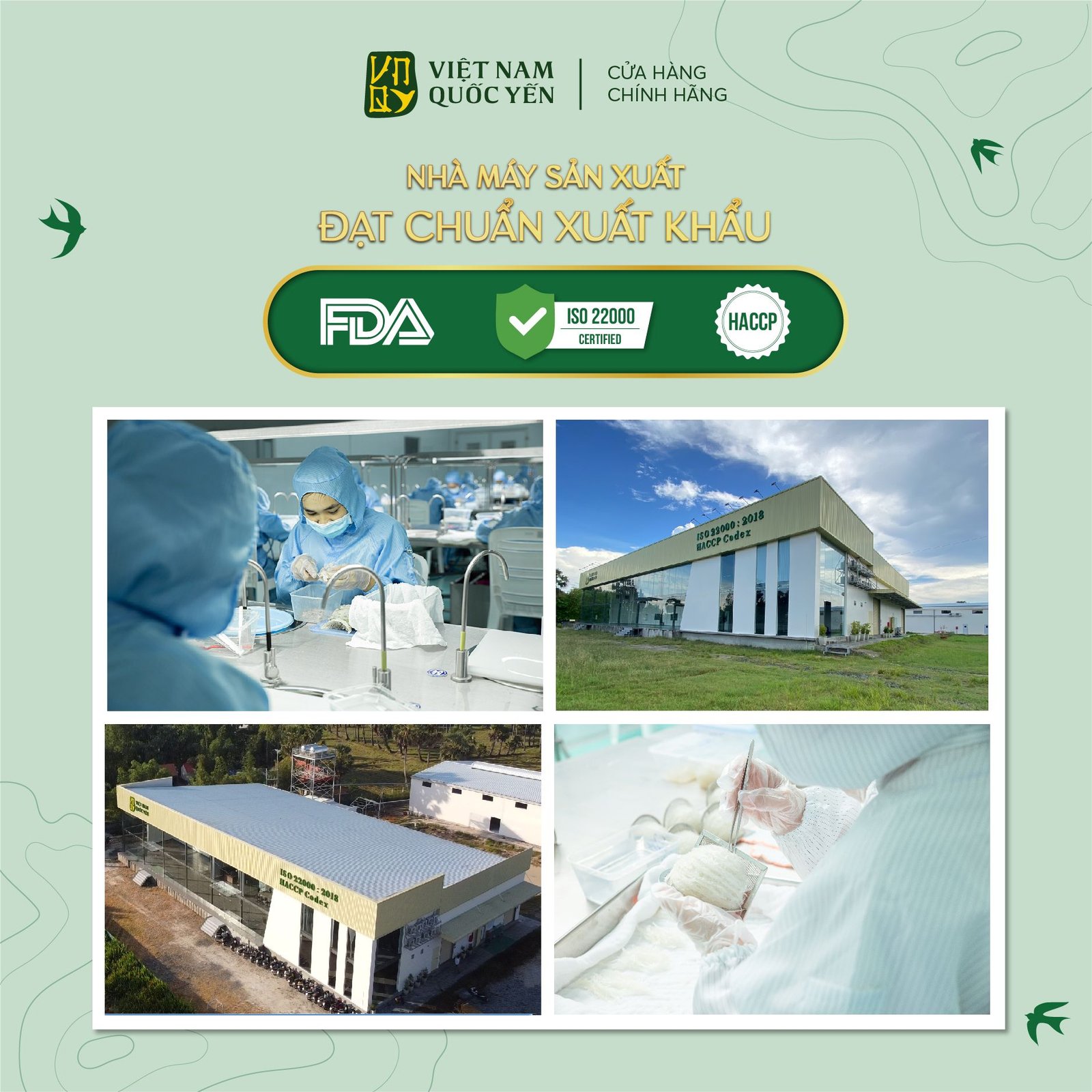 Tổ yến tinh chế sợi ngắn 100g - Việt Nam Quốc Yến - Ảnh 3