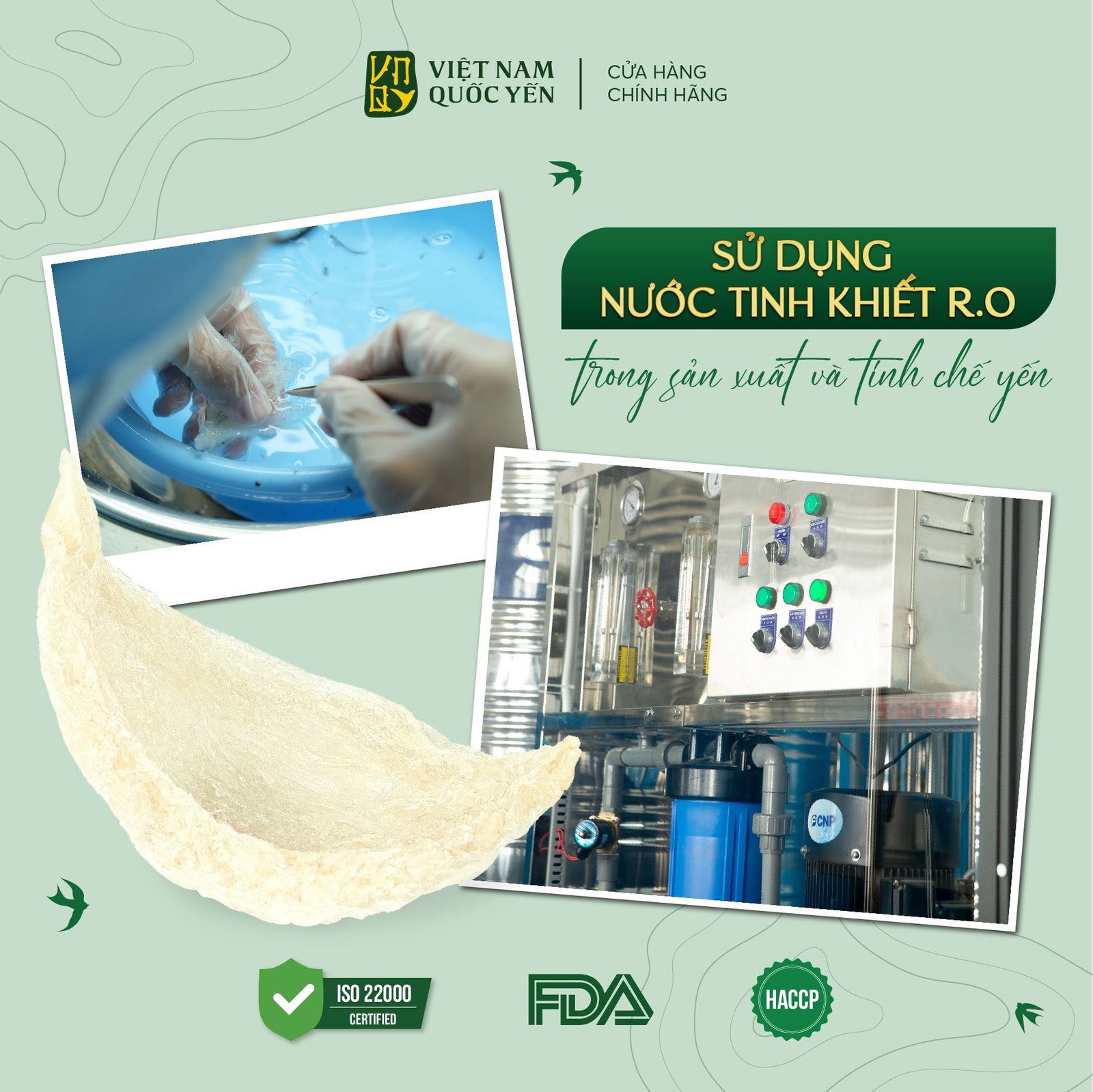 Tổ yến tinh chế sợi 50g - Việt Nam Quốc Yến - Ảnh 3