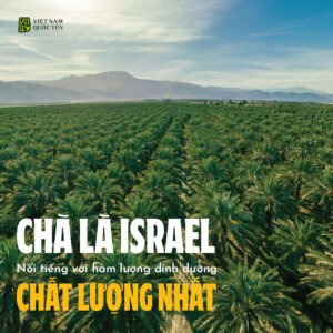 Yến Tươi Tinh Chất Chà Là - Hộp 1 - Ảnh 2