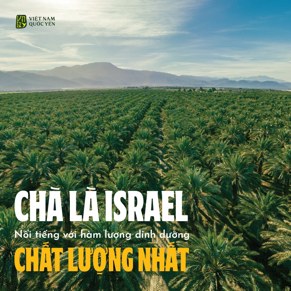 Yến Tươi Tinh Chất Chà Là - Hộp 1 - Ảnh 2